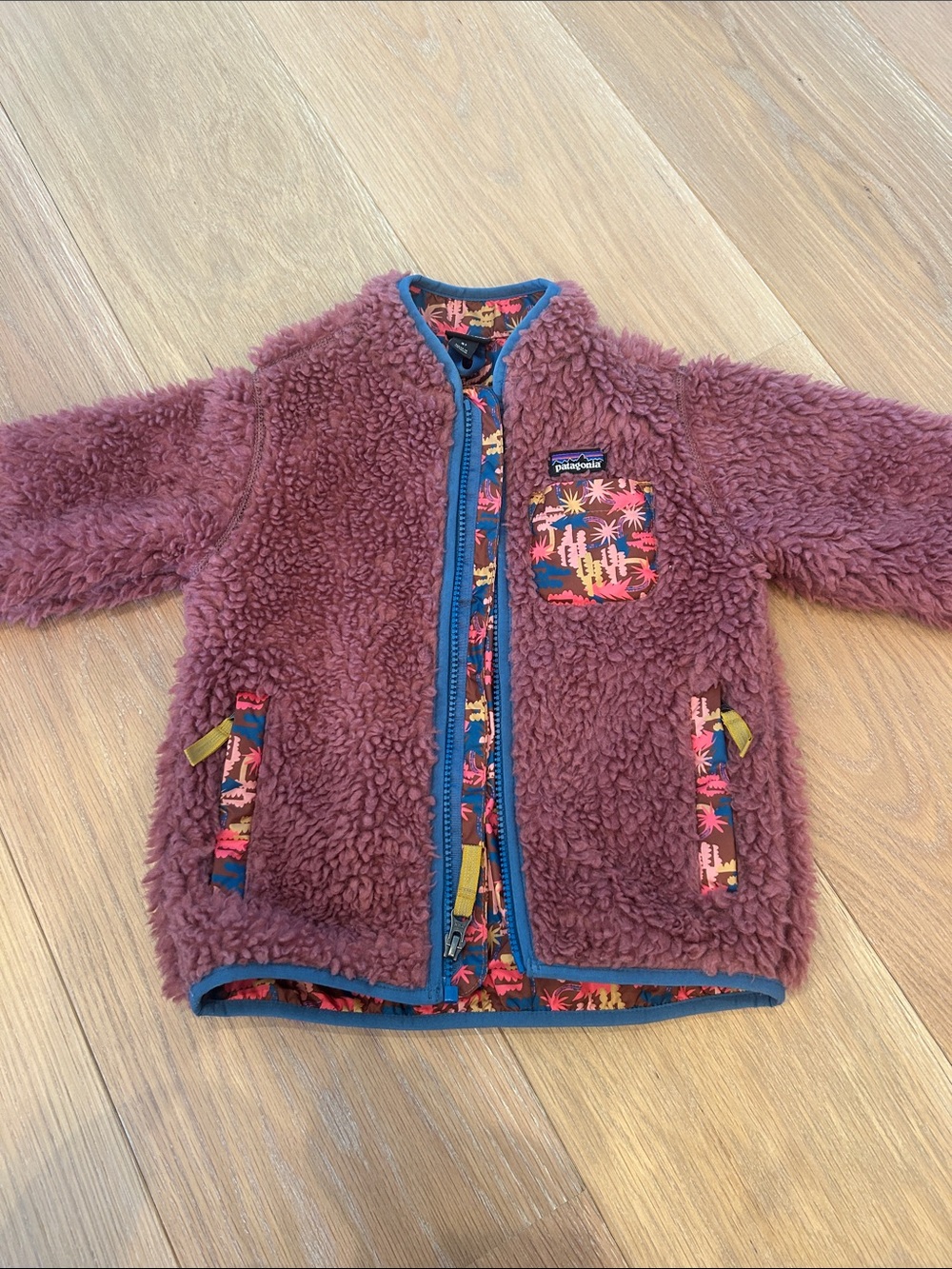 Patagonia Kids Plum Sherpa Jacket with Colorful Trim